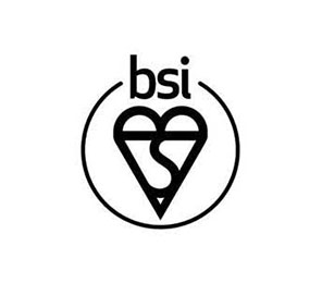 BSI LOGO